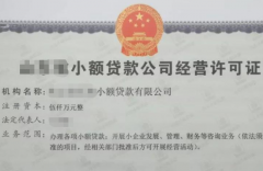最高法认定小额贷款公司为金融机构，四平民间借贷不受民间4倍LPR利率限制